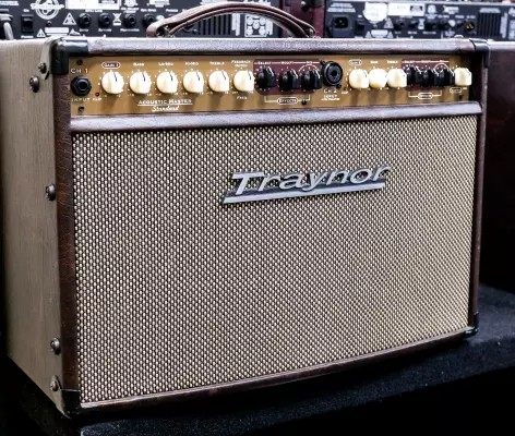 Traynor - AM Standard 2-Channel Stereo Acoustic Guitar Amp - 150 Watts 2